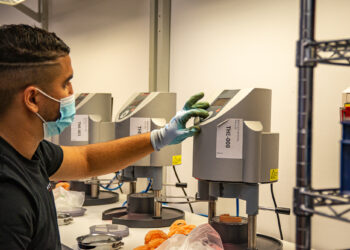 Les jeunes profitent à plein des contrats en alternance (Crédit archives Gomet')