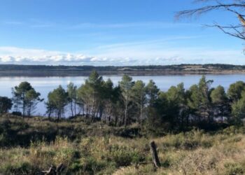 L'étang de Lavalduc où Géosel prévoit d'implanter des panneaux solaires pour son projet HyVence (crédit : Gomet')