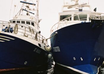 Bateaux de pêche dans le port de Sète (Crédit Apothéloz)