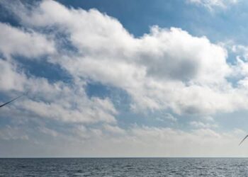 Les projets éoliens se développent autour de Port-Saint-Louis-du-Rhône, comme la ferme pilote Provence Grand Large (crédit : JYD / Gomet')