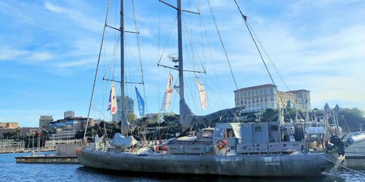 La goélette scientifique Tara jette l’ancre au Mucem et ouvre ses portes ce week-end