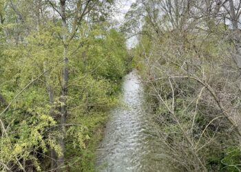 PLUi Pays d’Aix : Arc Fleuve Vivant s’oppose aux projets d’urbanisation le long de l’Arc