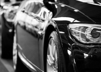 Assurance automobile : la fin du papillon vert, vue par les courtiers marseillais Montmirail et Delta Assurances