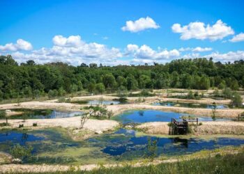 Aix-Ouest : la zone de rejet végétalisée de la station d’épuration réhabilitée