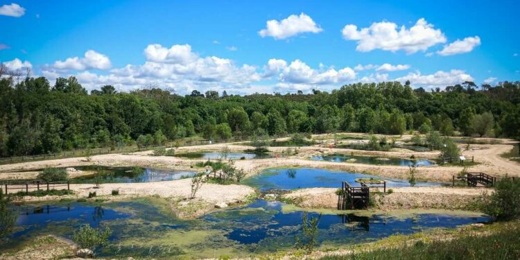 Aix-Ouest : la zone de rejet végétalisée de la station d’épuration réhabilitée