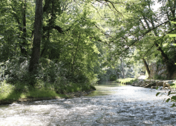 L'Arc au niveau d'Aix-en-Provence. Crédit Georges Seguin (Okki) CC.
