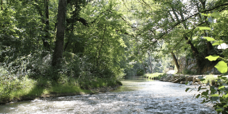 L'Arc au niveau d'Aix-en-Provence. Crédit Georges Seguin (Okki) CC.