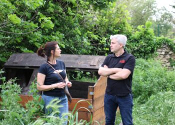 L’Adie décerne ses prix et célèbre la diversité des initiatives entrepreneuriales