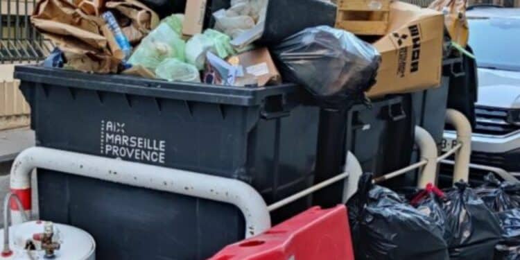 Le rapport conclusif de la mission sur la collecte des déchets sera présenté lors du prochain conseil métropolitain le 27 juin 2024 (crédit : archives Gomet')