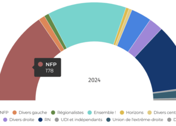 Résultats législatives 2024 : la nouvelle composition de l’Assemblée nationale