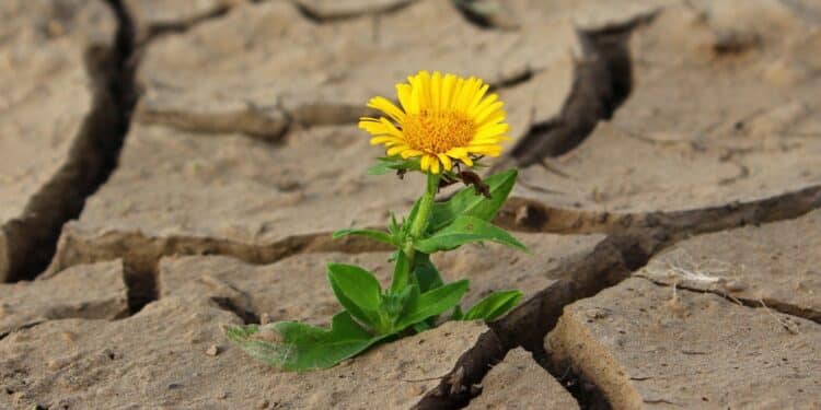 [Tribune] Confusion ou opportunité ?