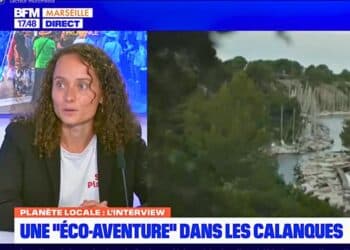 Nolwen Berthier sur le plateau de BFM Marseille pour l'émission Planète locale du 25 juin (crédit : BFM Marseille)