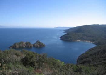 [Tribune] Aires marines protégées, des résultats tangibles pour la biodiversité et l’économie locale