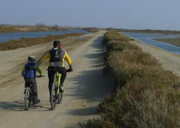 vélo tourisme Arles Camargue