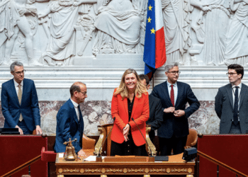 Les députés des Bouches-du-Rhône l'Assemblée nationale siègent tous dans l'une des huit commissions permanentes. (Crédit photo : Assemblée nationale)