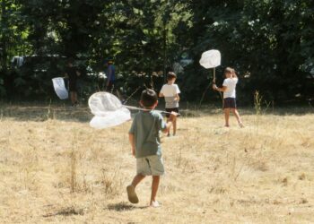Des ateliers pour scientifiques en herbe au Muséum d'histoire naturelle d'Aix