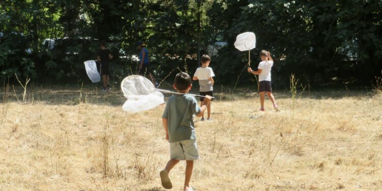 Des ateliers pour scientifiques en herbe au Muséum d'histoire naturelle d'Aix