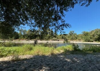 Agir pour le vivant pour se remettre à vivre dans et avec la nature (Crédit Gomet')