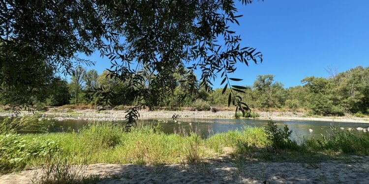 Agir pour le vivant pour se remettre à vivre dans et avec la nature (Crédit Gomet')