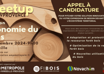 Economie du bois : appel à candidature pour des projets innovants