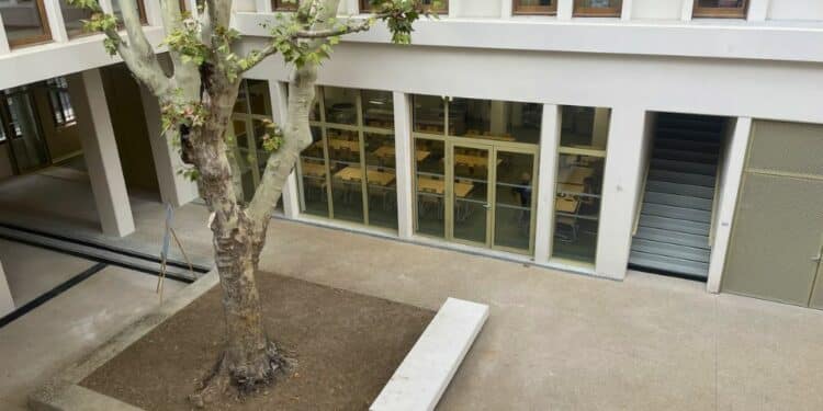 La cour principale de la nouvelle école des Abeilles à Marseille (crédit : JRG / Gomet")
