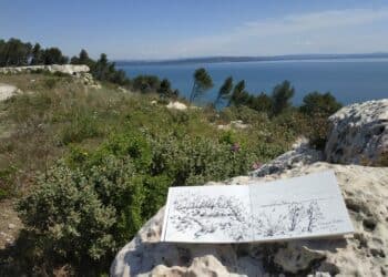 [Agenda] Loisirs : que faire le week-end des 13, 14 et 15 septembre ?