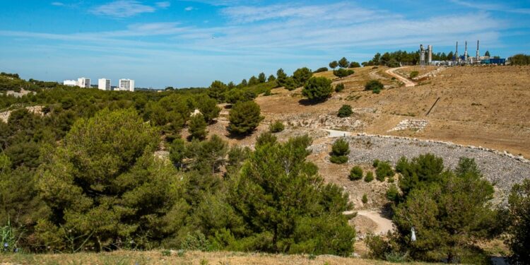 Parc photovoltaïque de Septèmes-les-Vallons géré par EDF Renouvelables