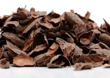 Hubcycle (84) : 15 millions d’euros pour transformer le gaspillage agroalimentaire en nouveaux produits