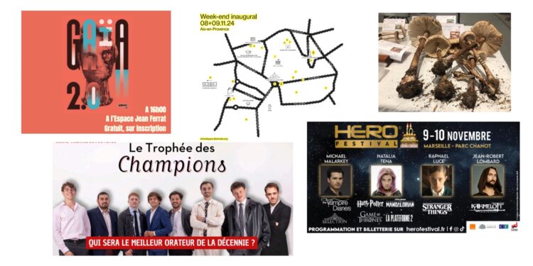 Agenda loisirs : que faire ce week-end du 9 au 11 novembre ?