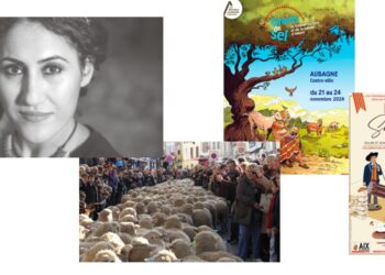 Agenda loisirs : que faire ce dimanche 24 novembre