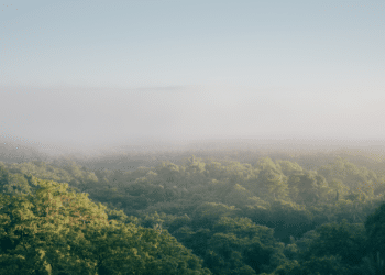 Finance : la CSRD, agir aujourd’hui pour ne pas subir demain