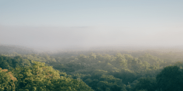 Finance : la CSRD, agir aujourd’hui pour ne pas subir demain