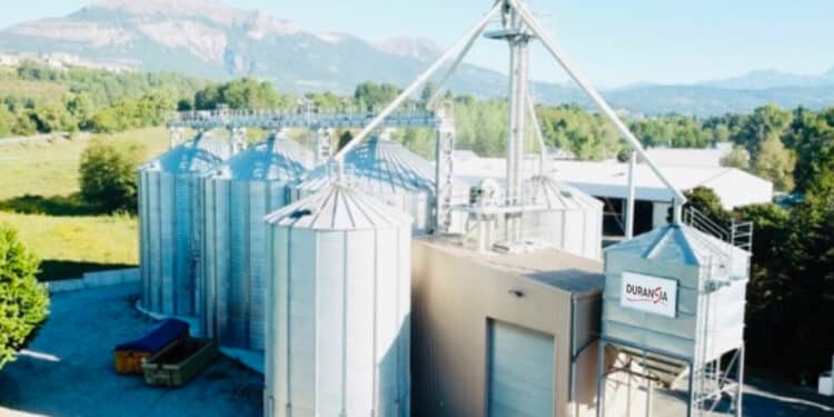 Les haricots, lentilles et pois chiches de DuranSia (Peyruis, 04) labellisés « Agri-éthique »