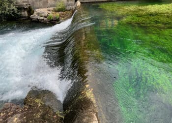 L’agence de l’eau Rhône Méditerranée Corse adopte un programme pour sauver les ressources en eau. (Crédit photo : Apothéloz)