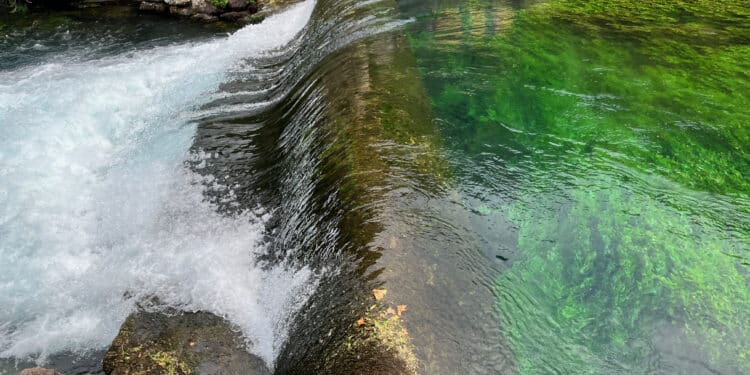 L’agence de l’eau Rhône Méditerranée Corse adopte un programme pour sauver les ressources en eau. (Crédit photo : Apothéloz)