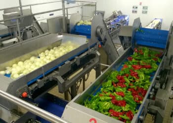Conserves France appertise 1 500 tonnes de légumes