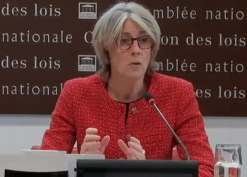 Laurence Vichnievsky Conseil constitutionnel