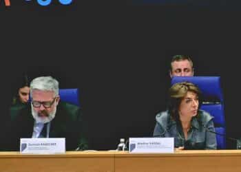 Les élus métropolitains ont entériné la gratuité des transports pour les plus jeunes et les seniors, en conseil métropolitain ce jeudi 27 février (crédit : capture d'écran AMP)