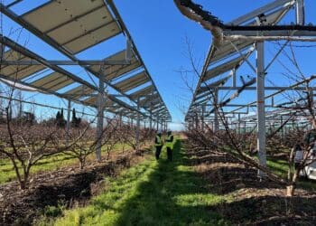 agrivoltaïsme TotalEnergies