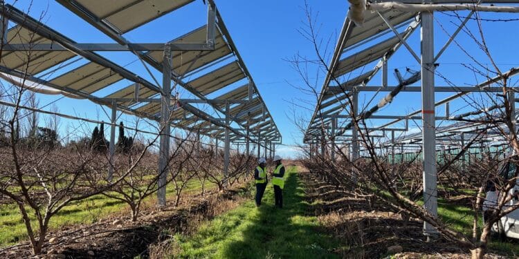 agrivoltaïsme TotalEnergies