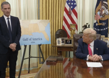 Rodolphe Saadé à la Maison Blanche