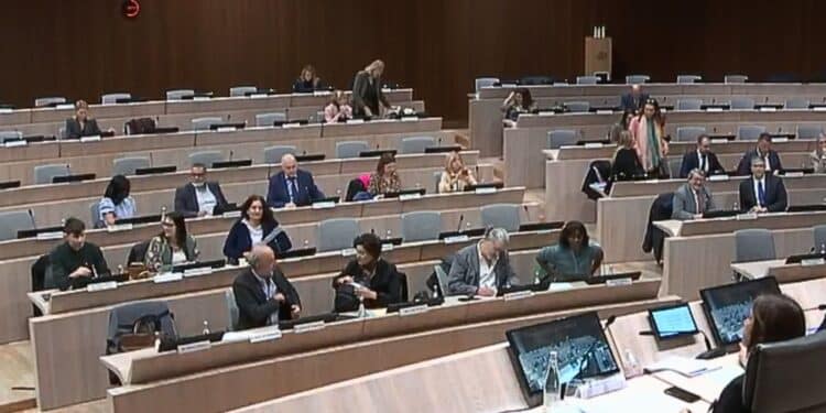 conseil municipal sécurité