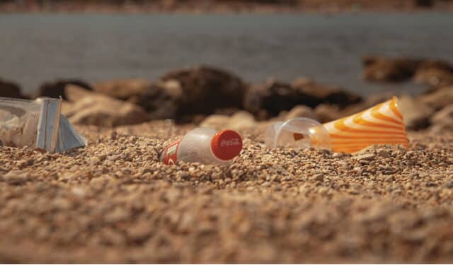 Fondation Proman et Pure Océan : une exposition pour sensibiliser aux déchets abandonnés