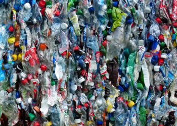 Tri sélectif bouteilles plastique