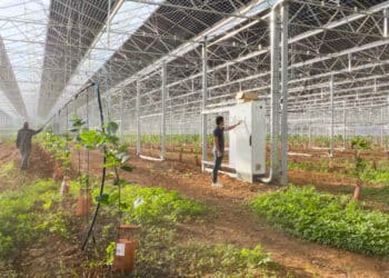 Richel Group (Eygalières) s’affirme dans les serres photovoltaïques avec Volta (04)