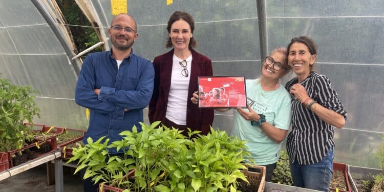 Graines de soleil Fondation SFR