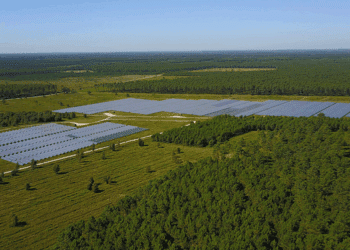 L’énergéticien Amarenco (Irlande) lève une dette senior auprès de la Cepac et de BPCE Energeco