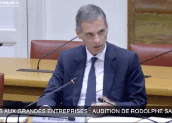 Saadé taxe au tonnage