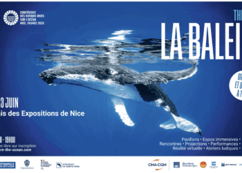 Unoc pavillon La Baleine