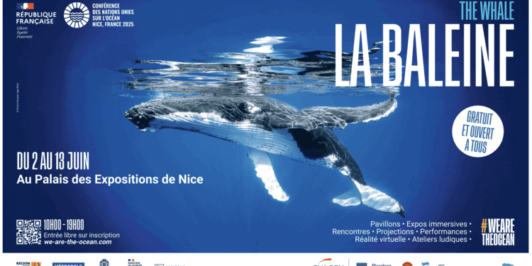Unoc pavillon La Baleine